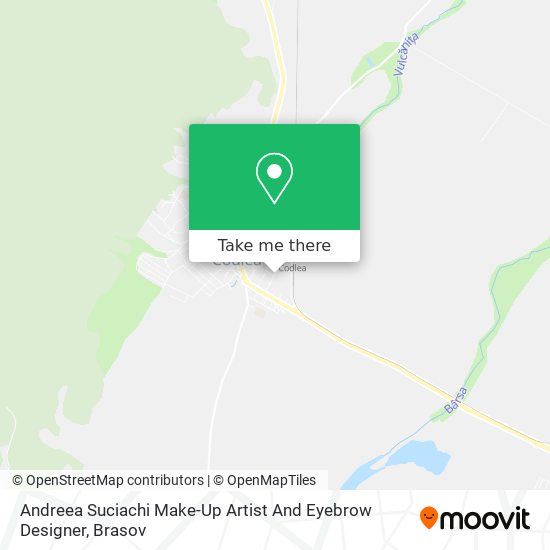 Andreea Suciachi Make-Up Artist And Eyebrow Designer map