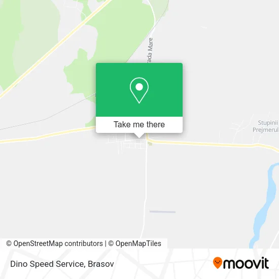 Dino Speed Service map