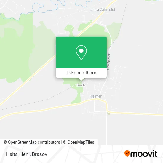 Halta Ilieni map