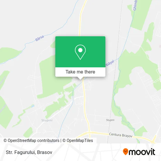 Str. Fagurului map