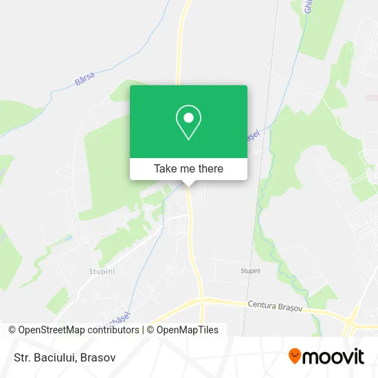 Str. Baciului map