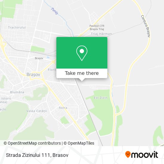 Strada Zizinului 111 map