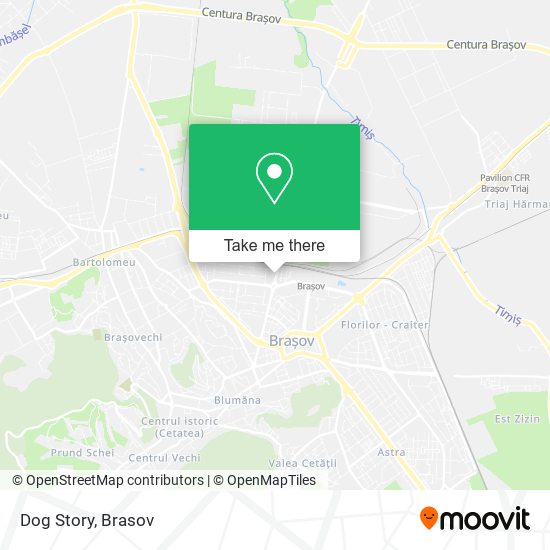 Dog Story map