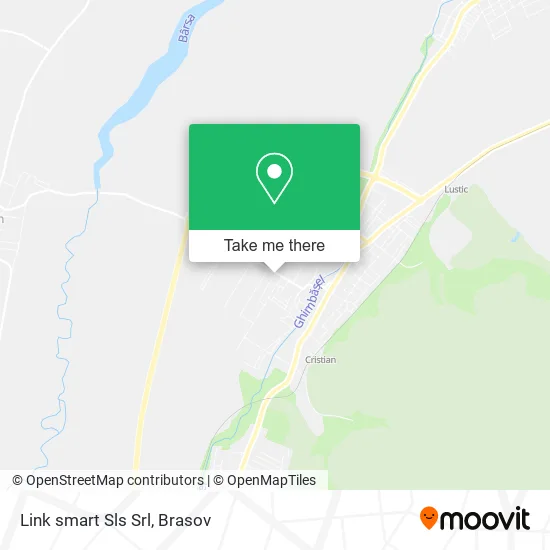 Link smart Sls Srl map