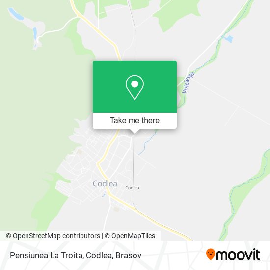 Pensiunea La Troita, Codlea map