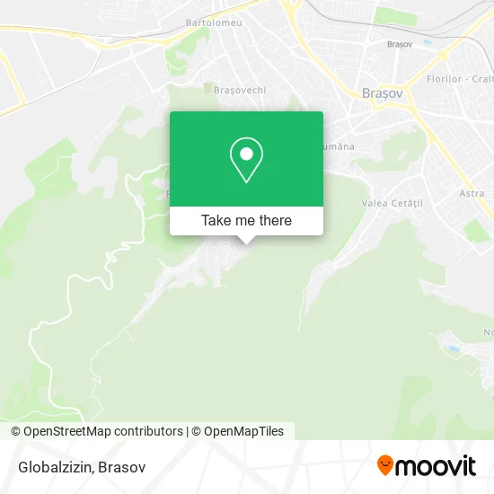 Globalzizin map