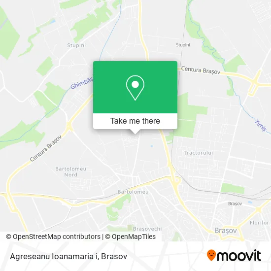 Agreseanu Ioanamaria i map