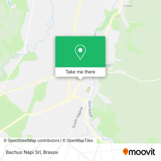 Bachus Napi Srl map