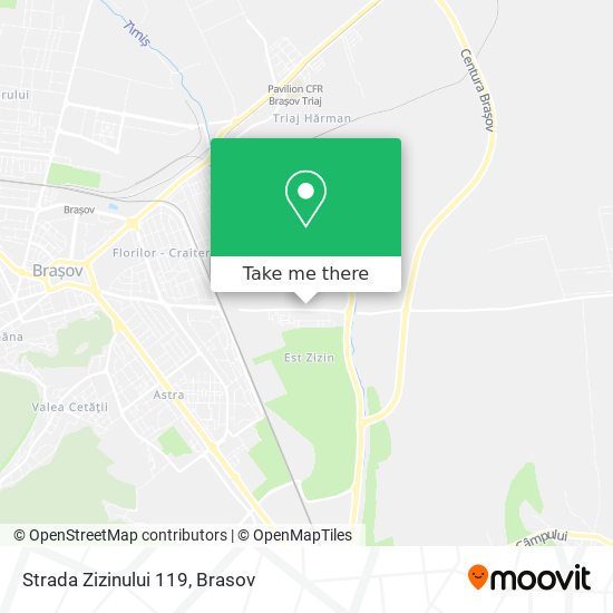 Strada Zizinului 119 map