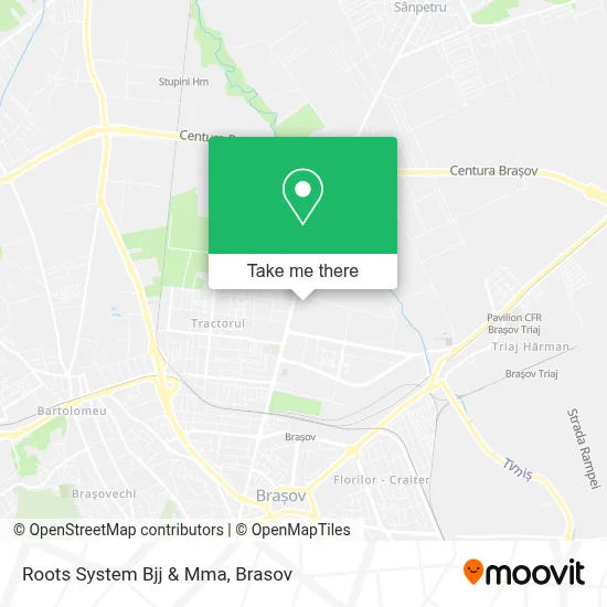Roots System Bjj & Mma map