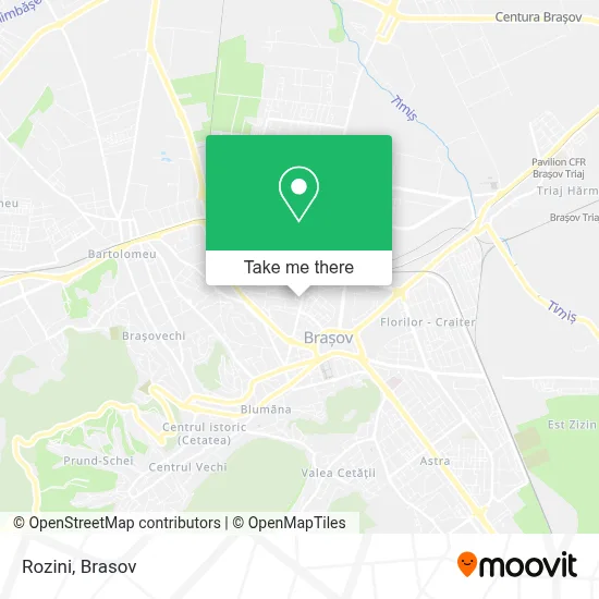 Rozini map