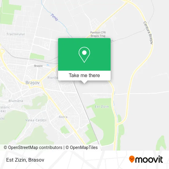 Est Zizin map