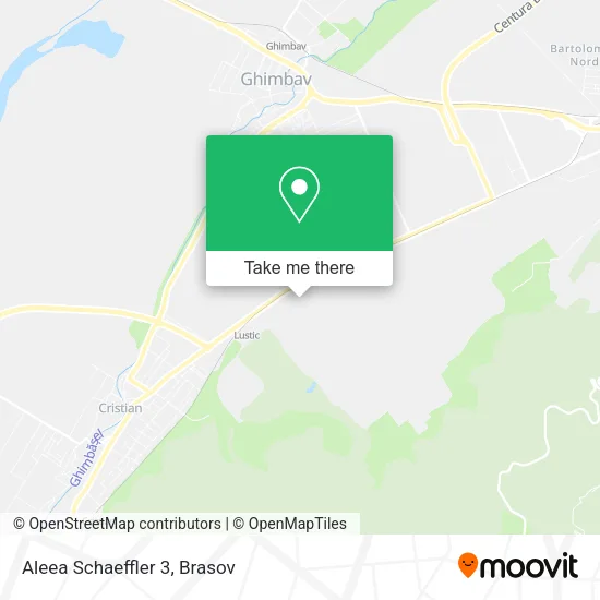 Aleea Schaeffler 3 map