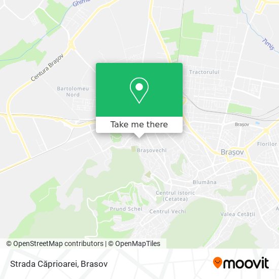 Strada Căprioarei map