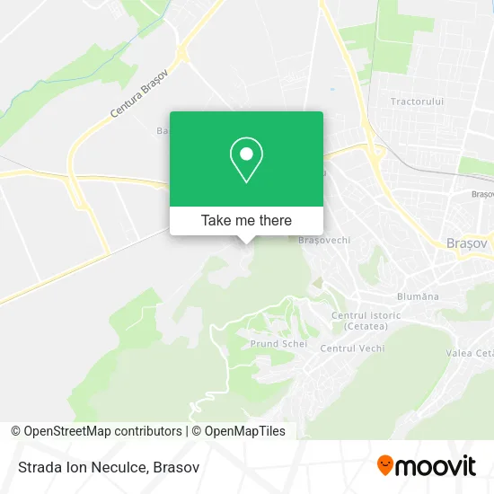 Strada Ion Neculce map