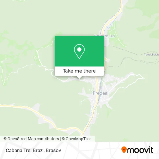 Cabana Trei Brazi map