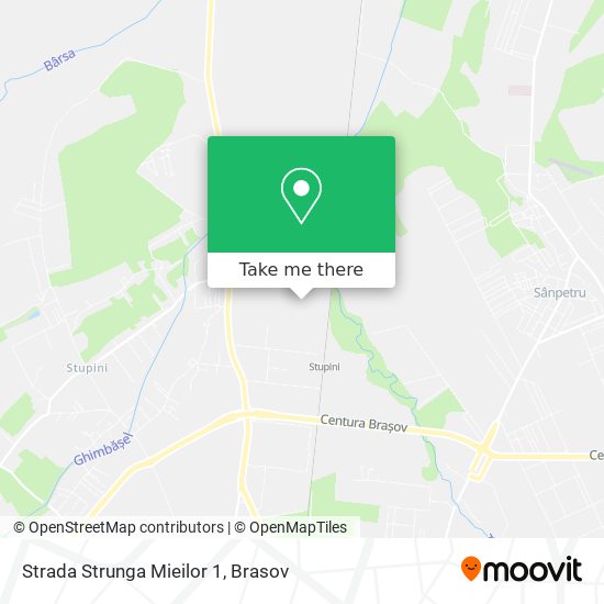 Strada Strunga Mieilor 1 map