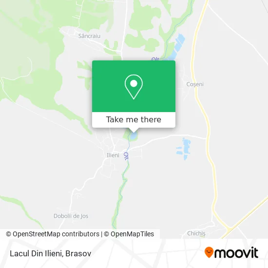 Lacul Din Ilieni map