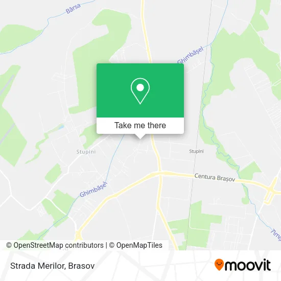 Strada Merilor map