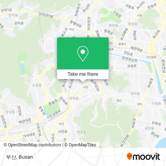 부산 map