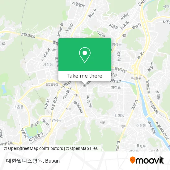 대한웰니스병원 map