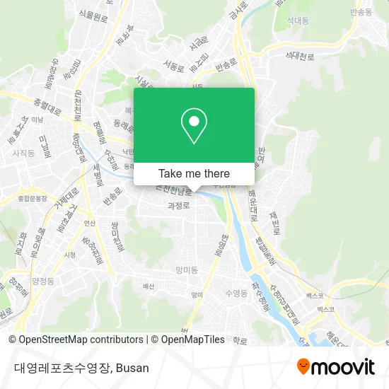 대영레포츠수영장 map