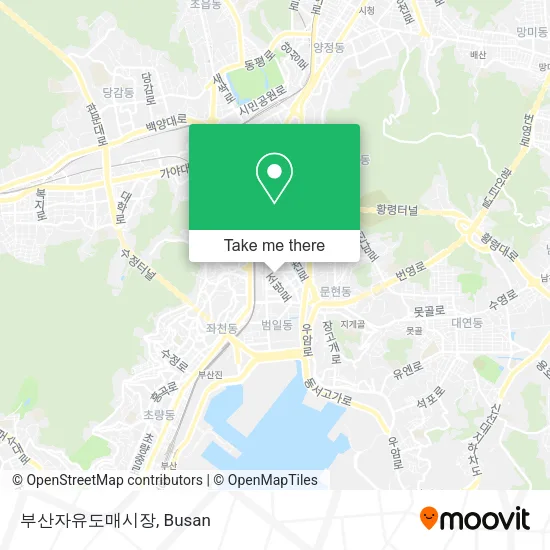 부산자유도매시장 map