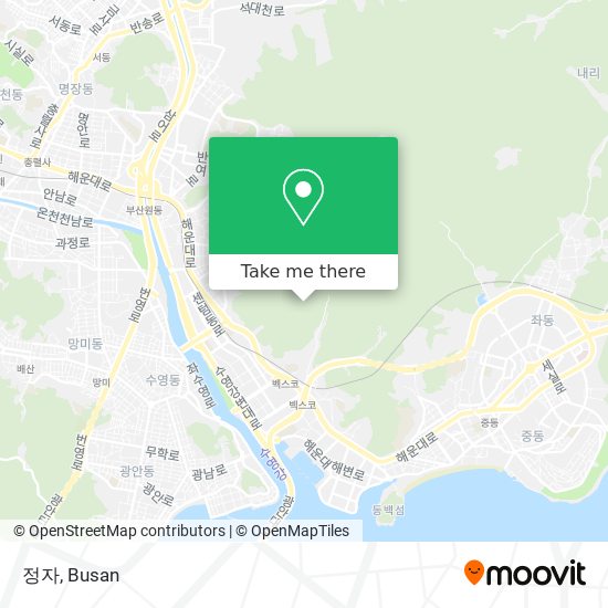 정자 map