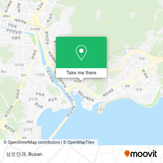 성모안과 map