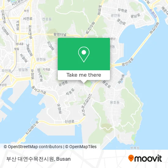 부산 대연수목전시원 map