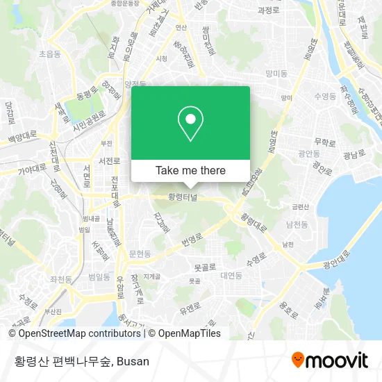 황령산 편백나무숲 map