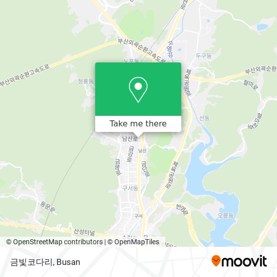 금빛코다리 map
