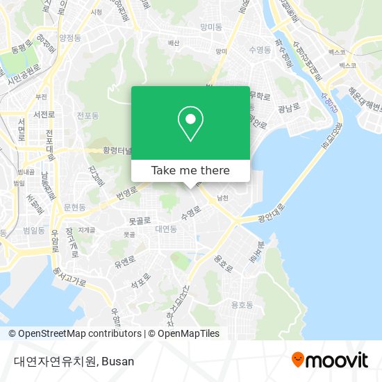 대연자연유치원 map
