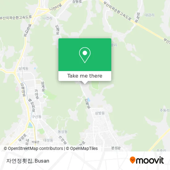 자연정횟집 map