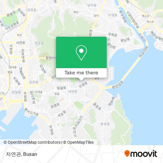 자연관 map