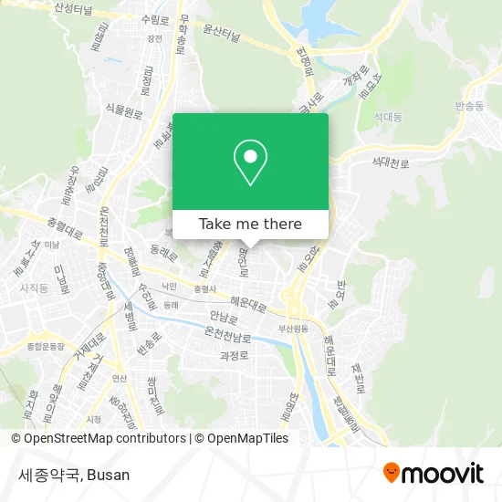 세종약국 map