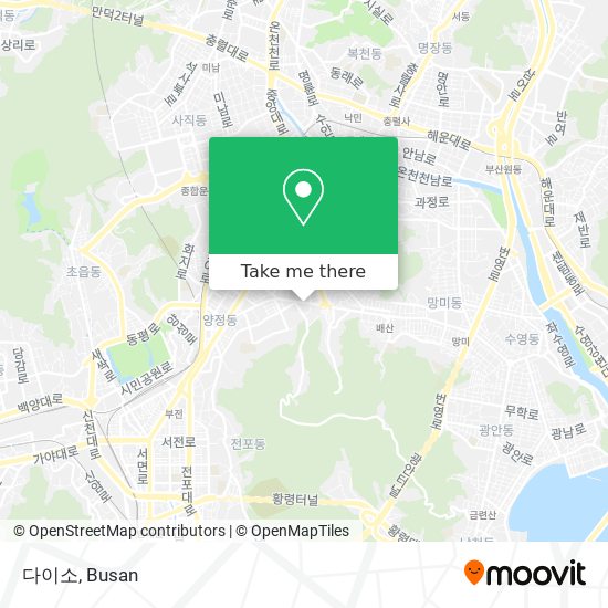 다이소 map
