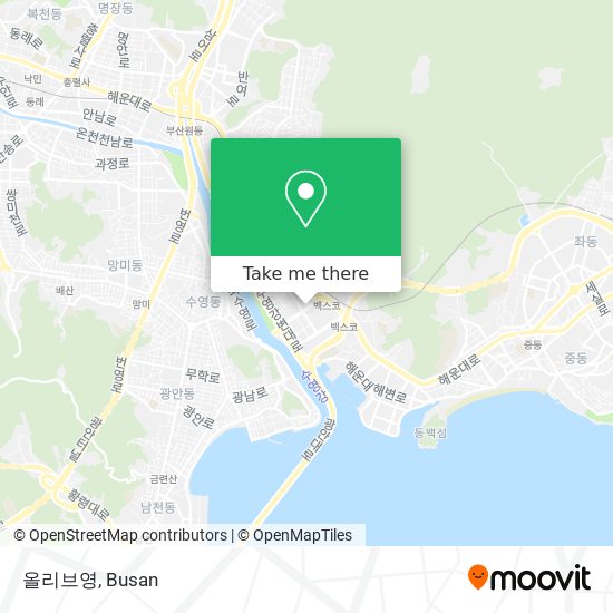 올리브영 map