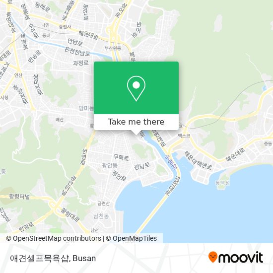 애견셀프목욕샵 map