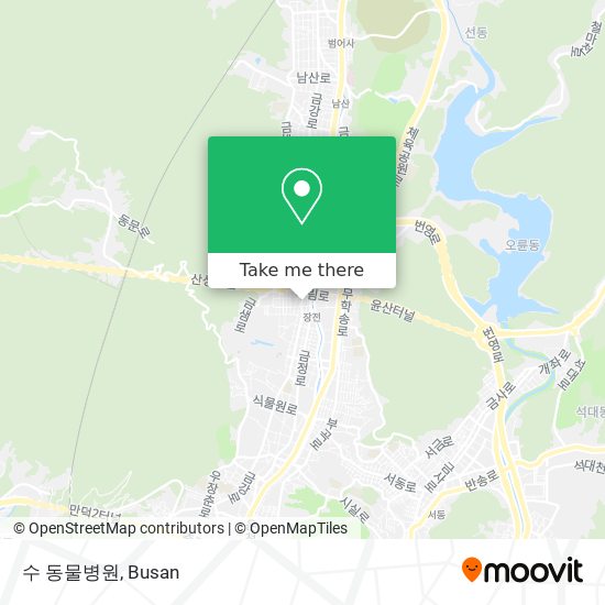 수 동물병원 map