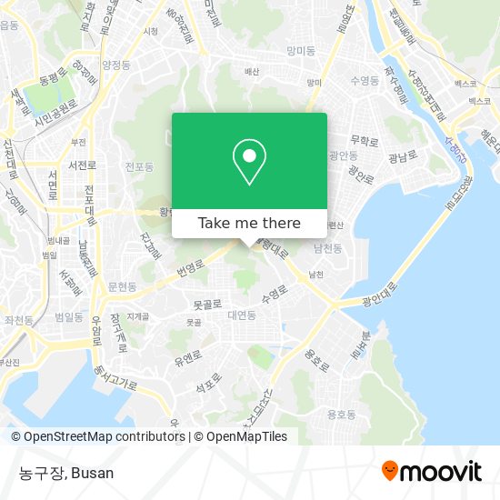 농구장 map