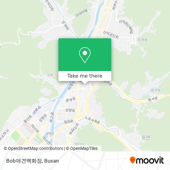Bob애견백화점 map