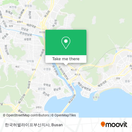 한국허벌라이프부산지사 map