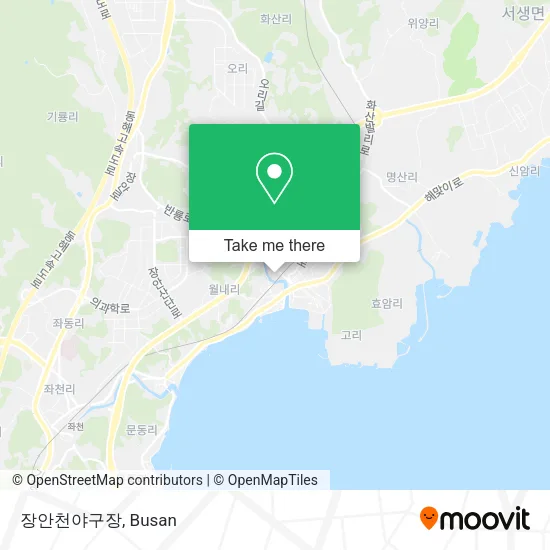 장안천야구장 map