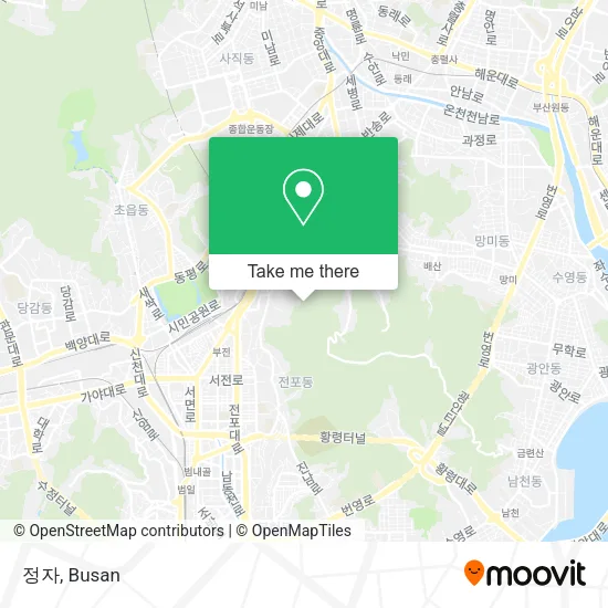 정자 map