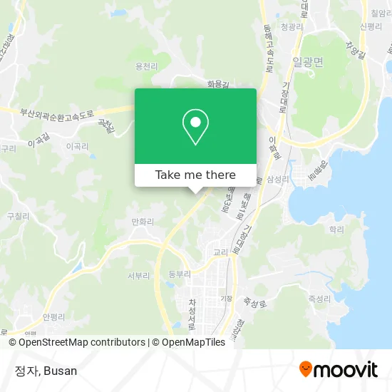정자 map