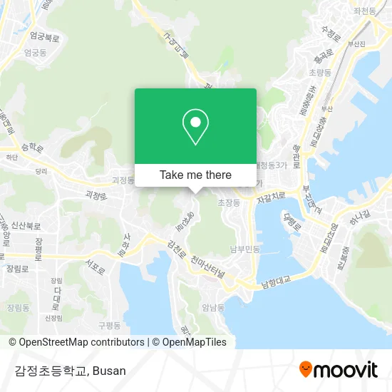 감정초등학교 map