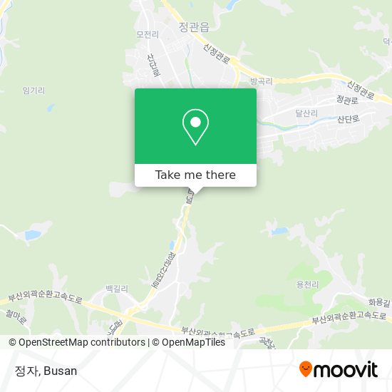 정자 map