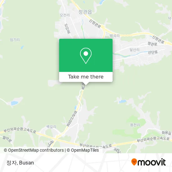 정자 map