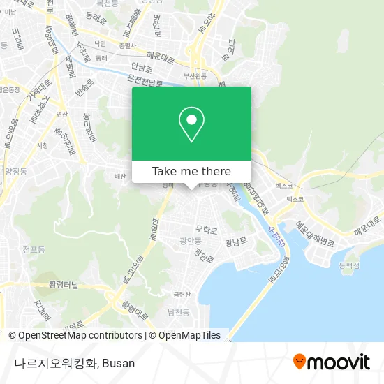 나르지오워킹화 map